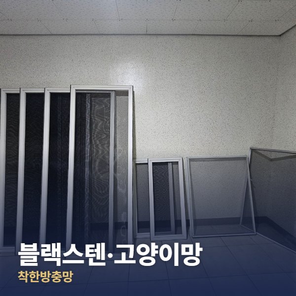서대문구 블랙스텐·고양이망